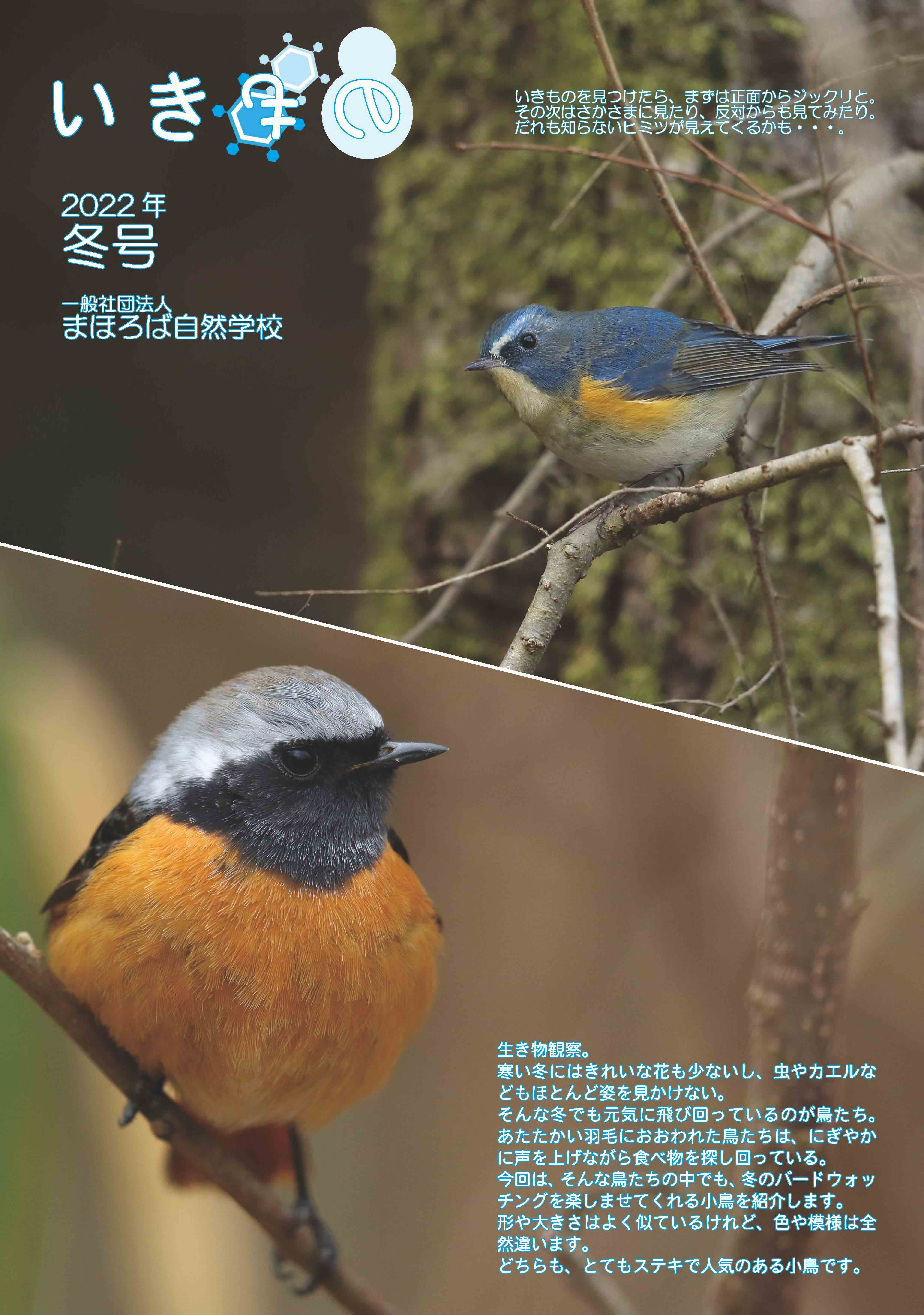 いきもの学級新聞12〜40、42〜49 お詫びと訂正】 こちらの投稿でご案内したリンクが閲覧できない状態と